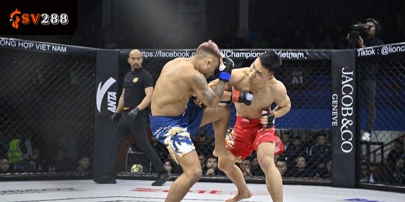 Toàn Tập Về Cá Cược UFC: Cách Đọc Kèo Và Kinh Nghiệm Chọn Võ Sĩ Chuẩn Xác 6 Kinh Nghiệm Chọn Võ Sĩ Chuẩn Xác
