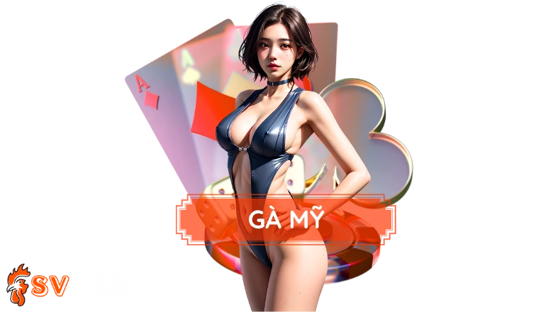 Gà Mỹ